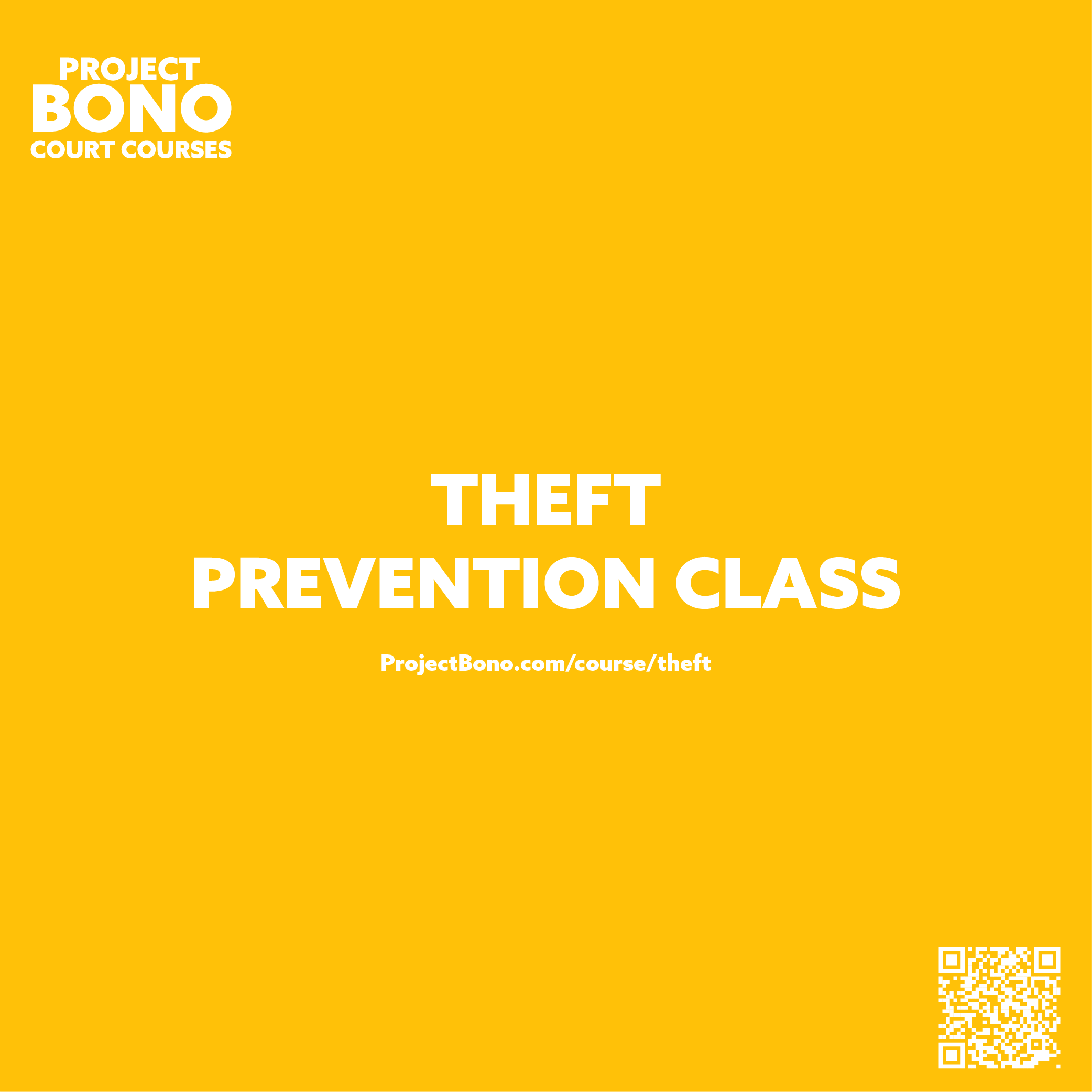 Theft Prevention Project Bono